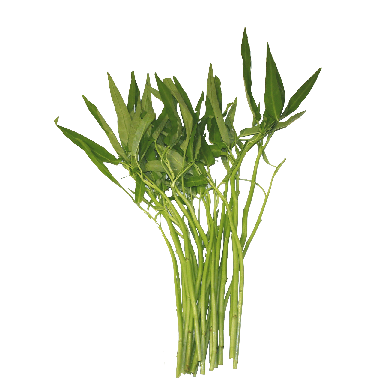 Raw Spinach Free PNG Image