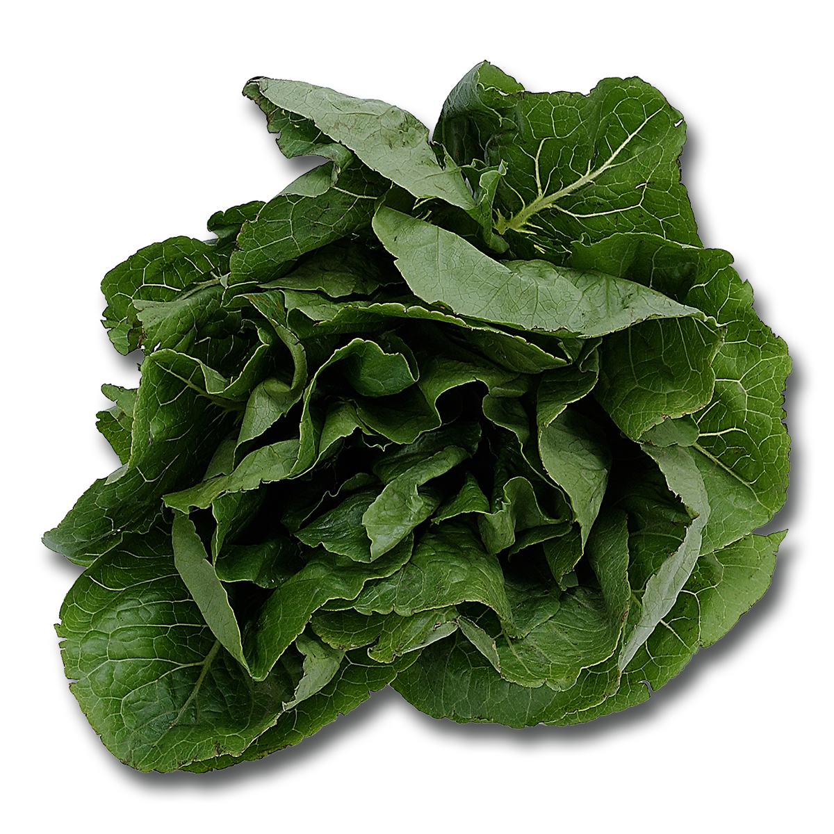Raw Spinach PNG Background Image