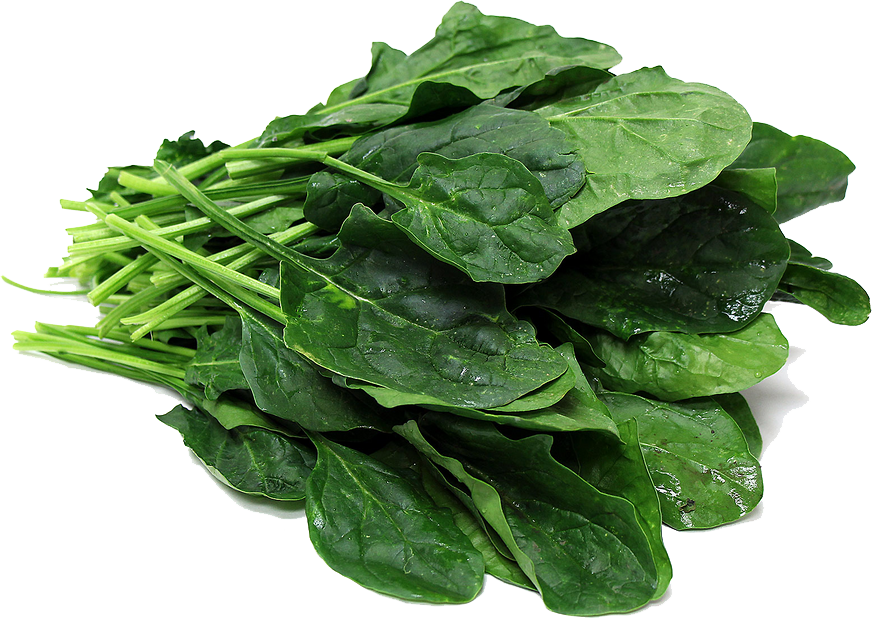Raw Spinach PNG Download Image