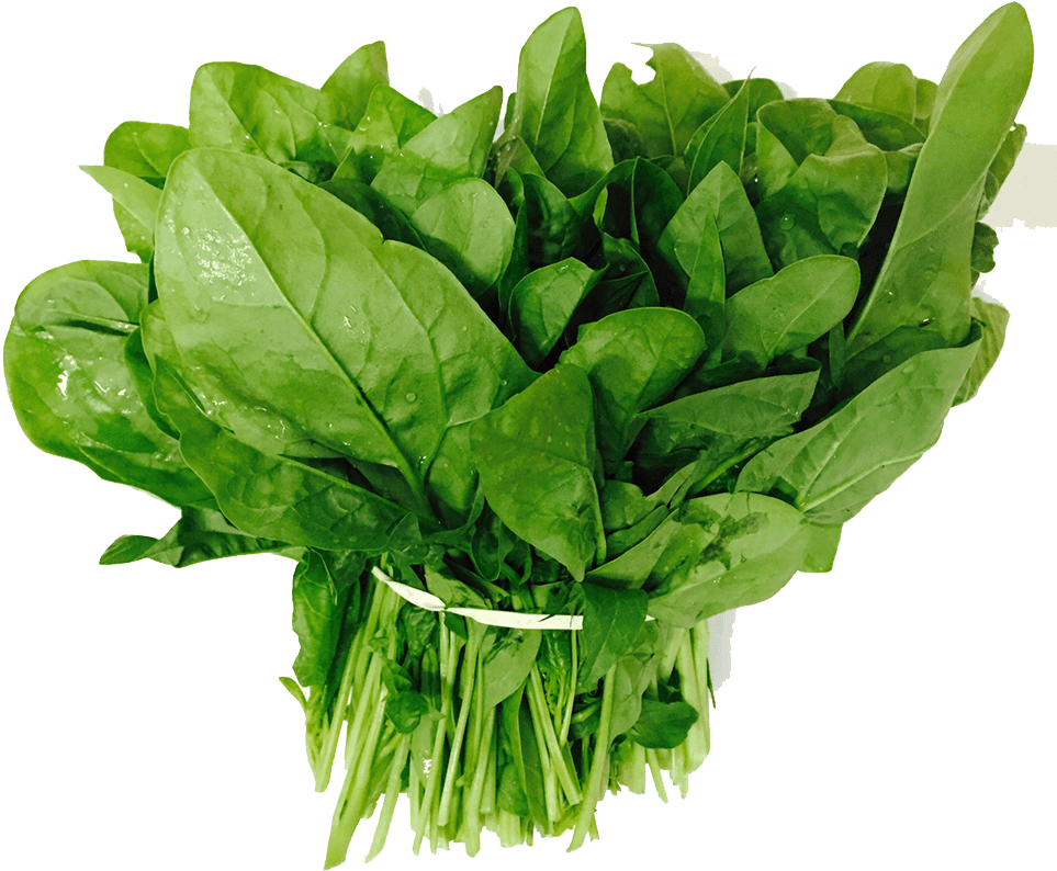 Raw Spinach PNG Free Download