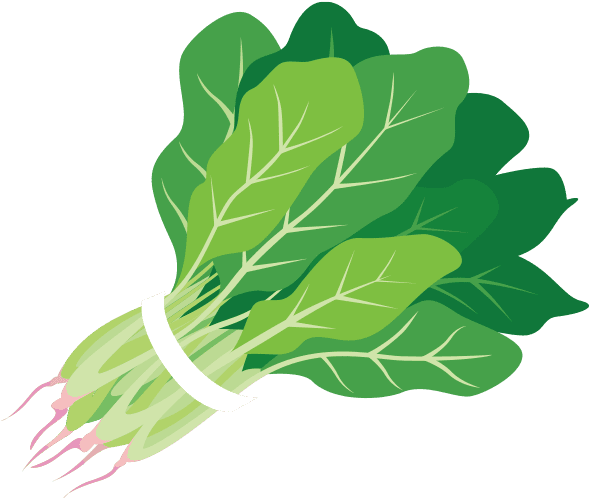 Raw Spinach PNG Image Transparent