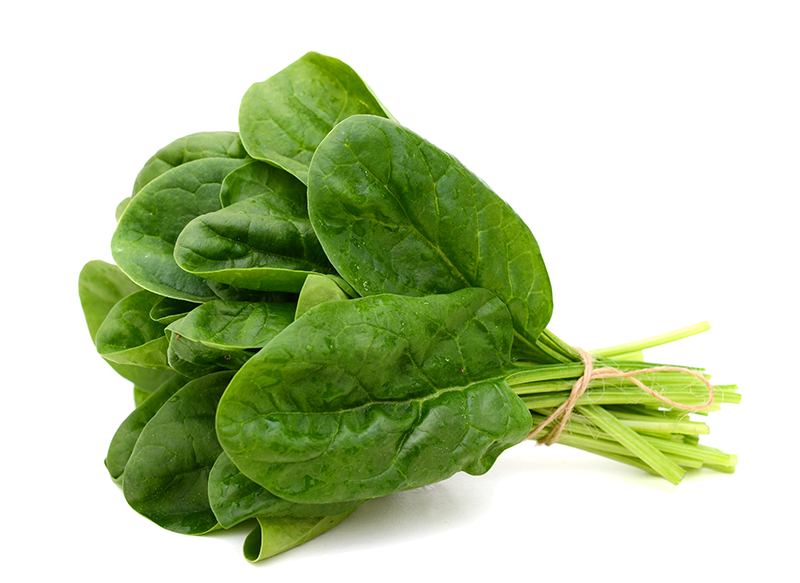 Raw Spinach PNG Pic