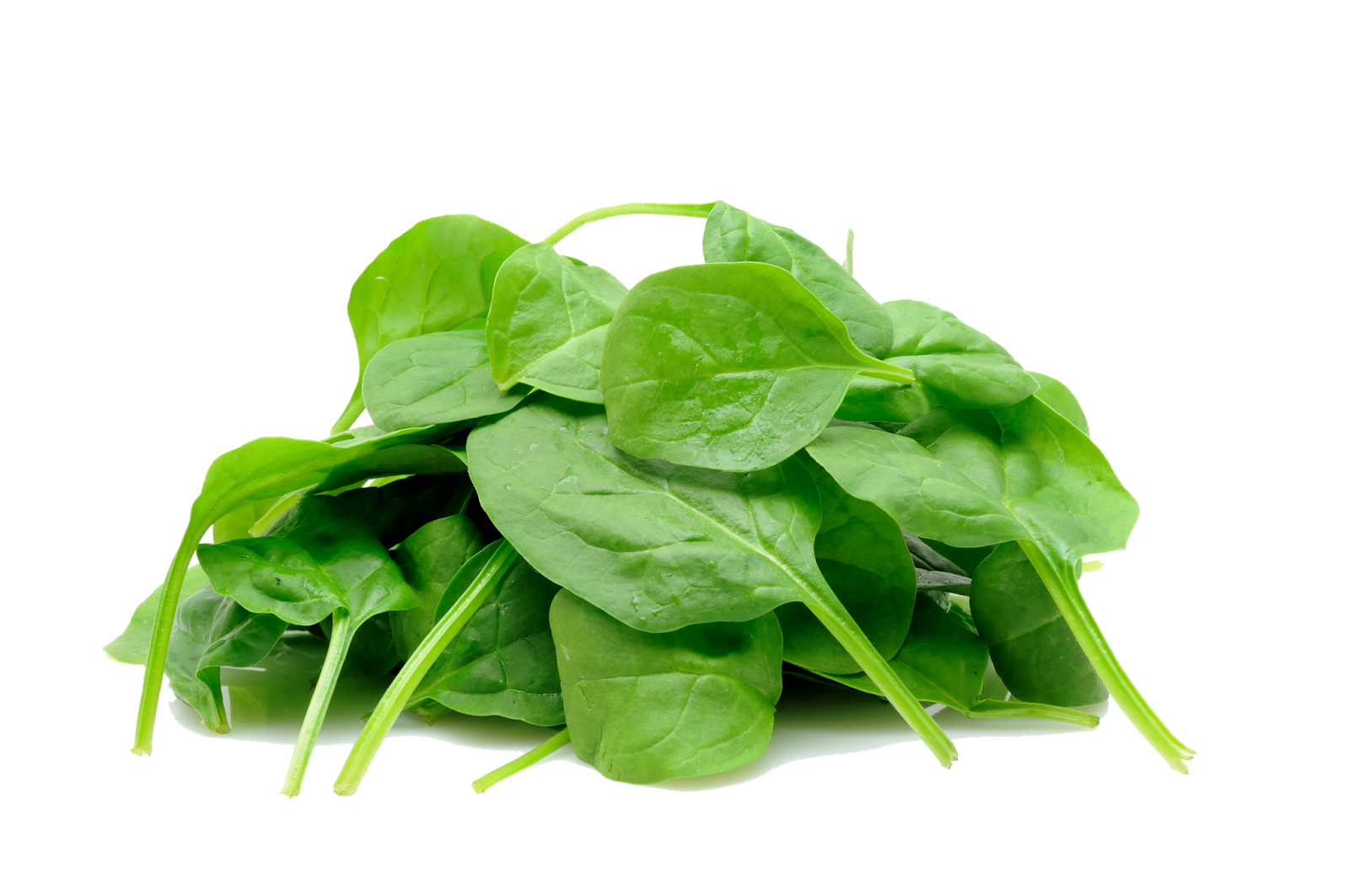 Raw Spinach PNG Picture