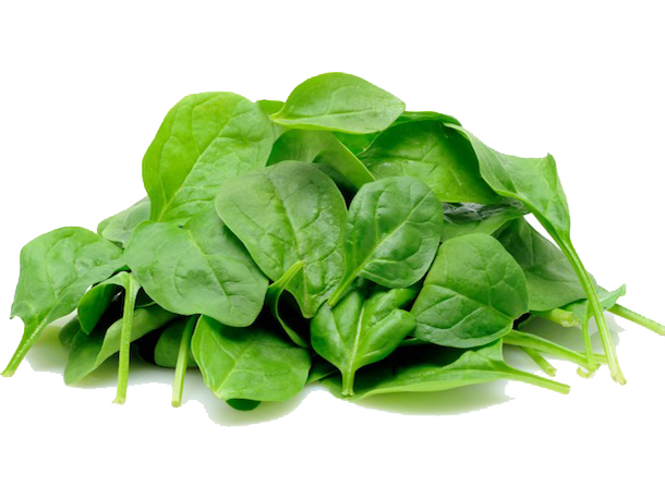 Raw Spinach PNG Transparent Image