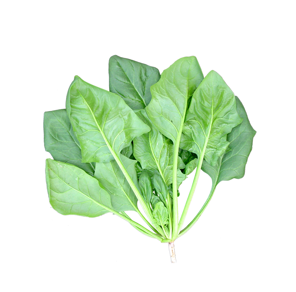 Spinach Leaf PNG Image Background