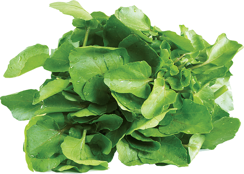 Spinach Leaf PNG Transparent Image