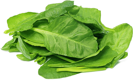 Spinach Leaf Transparent Image