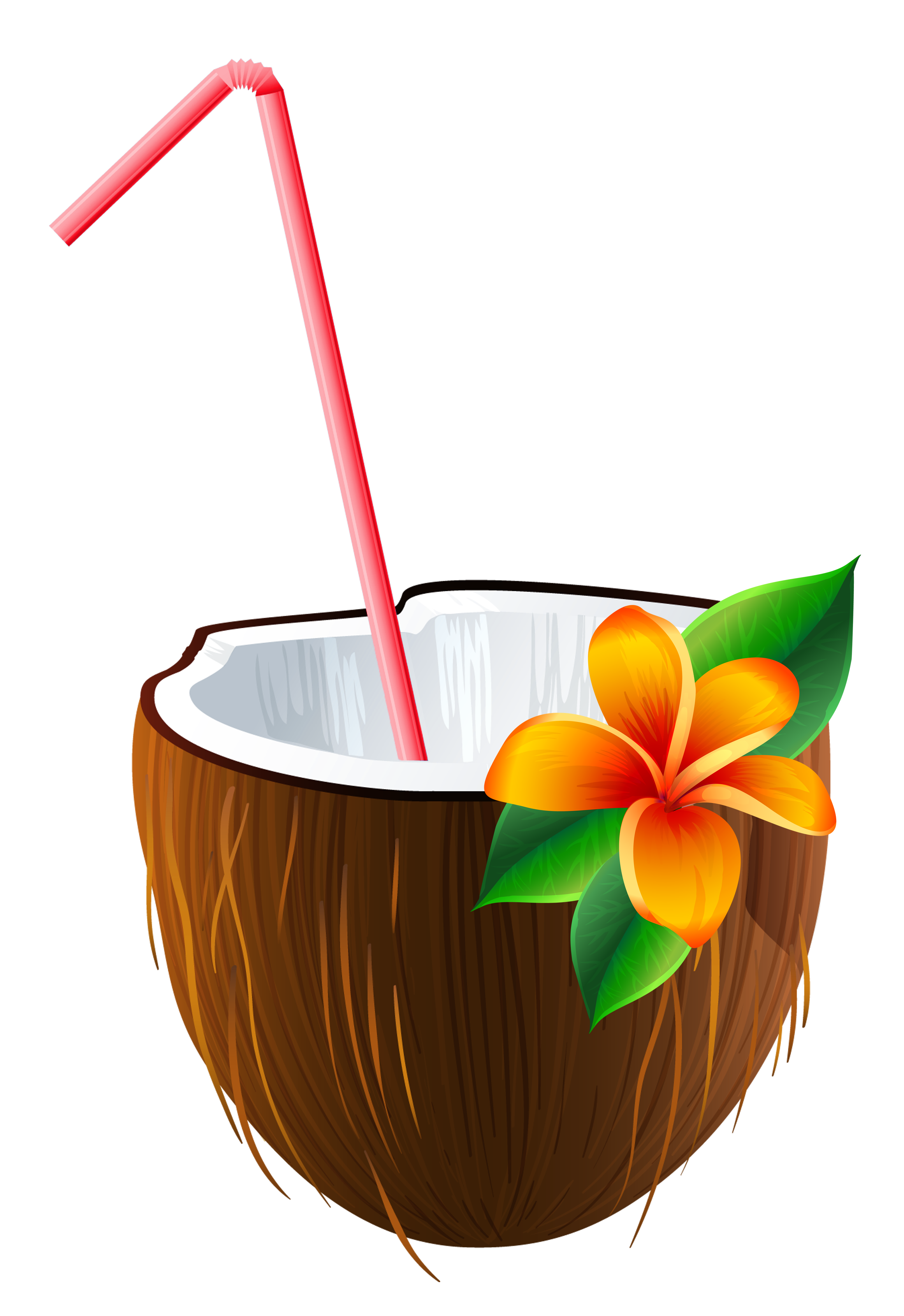 Summer Coconut Free PNG Image