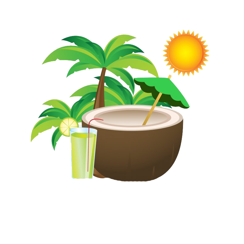 Summer Coconut PNG High-Quality Image