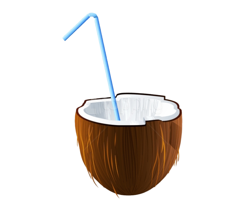 Summer Coconut PNG Image Background