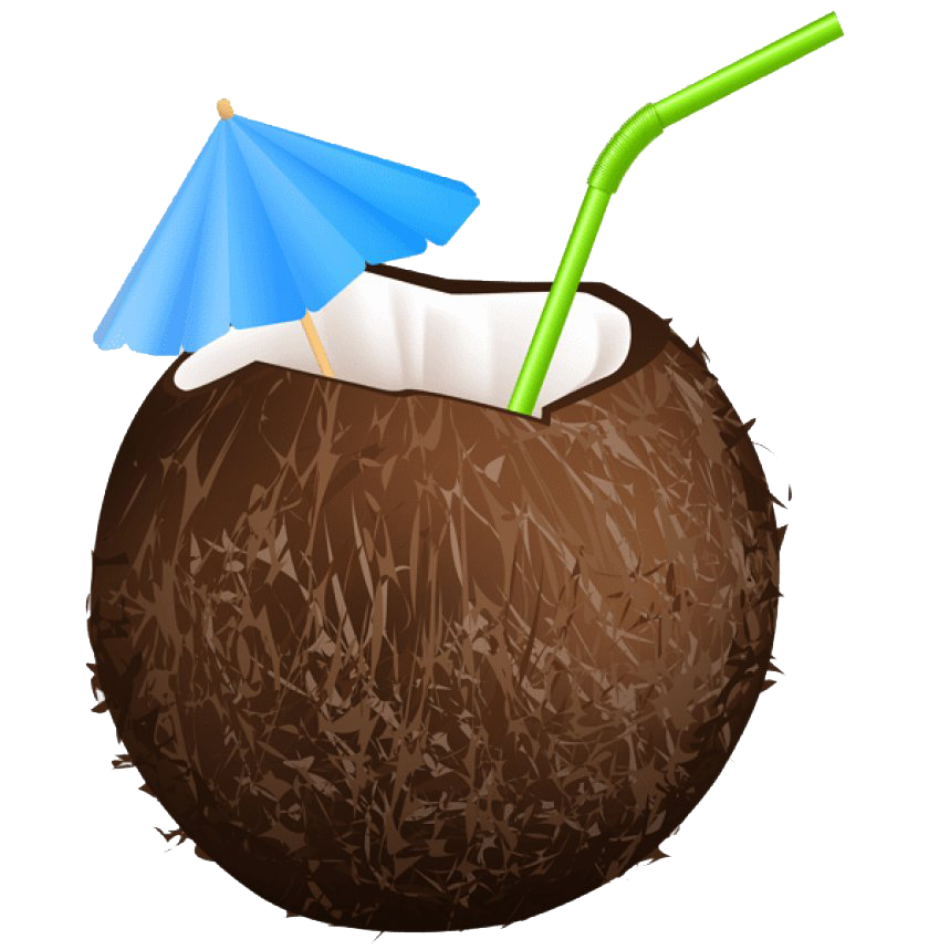 Pic PNG PNG Summer Coconut