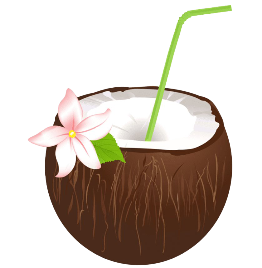 Summer Coconut PNG Picture