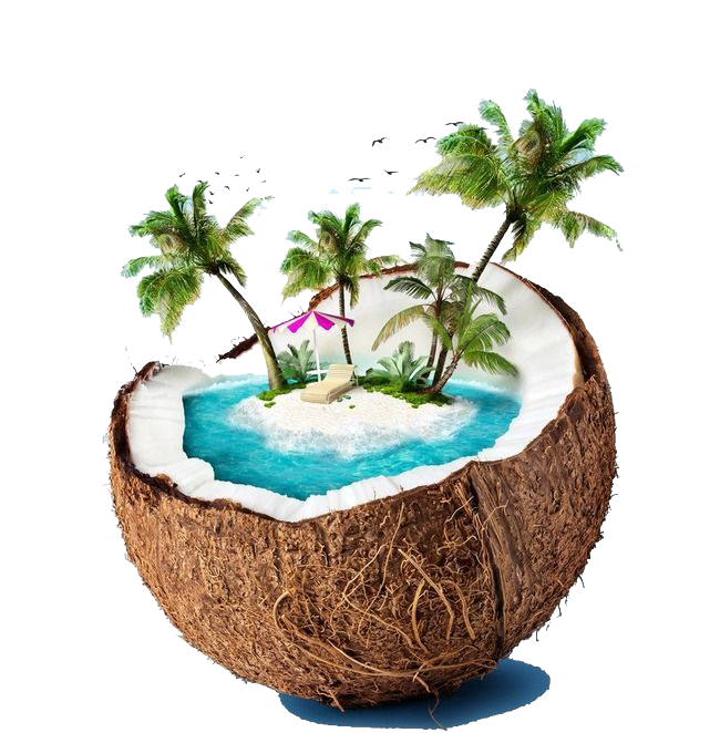 Summer Coconut PNG Transparent Image