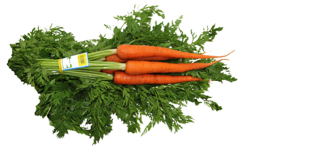 Вид сверху Морковь бесплатно PNG Image