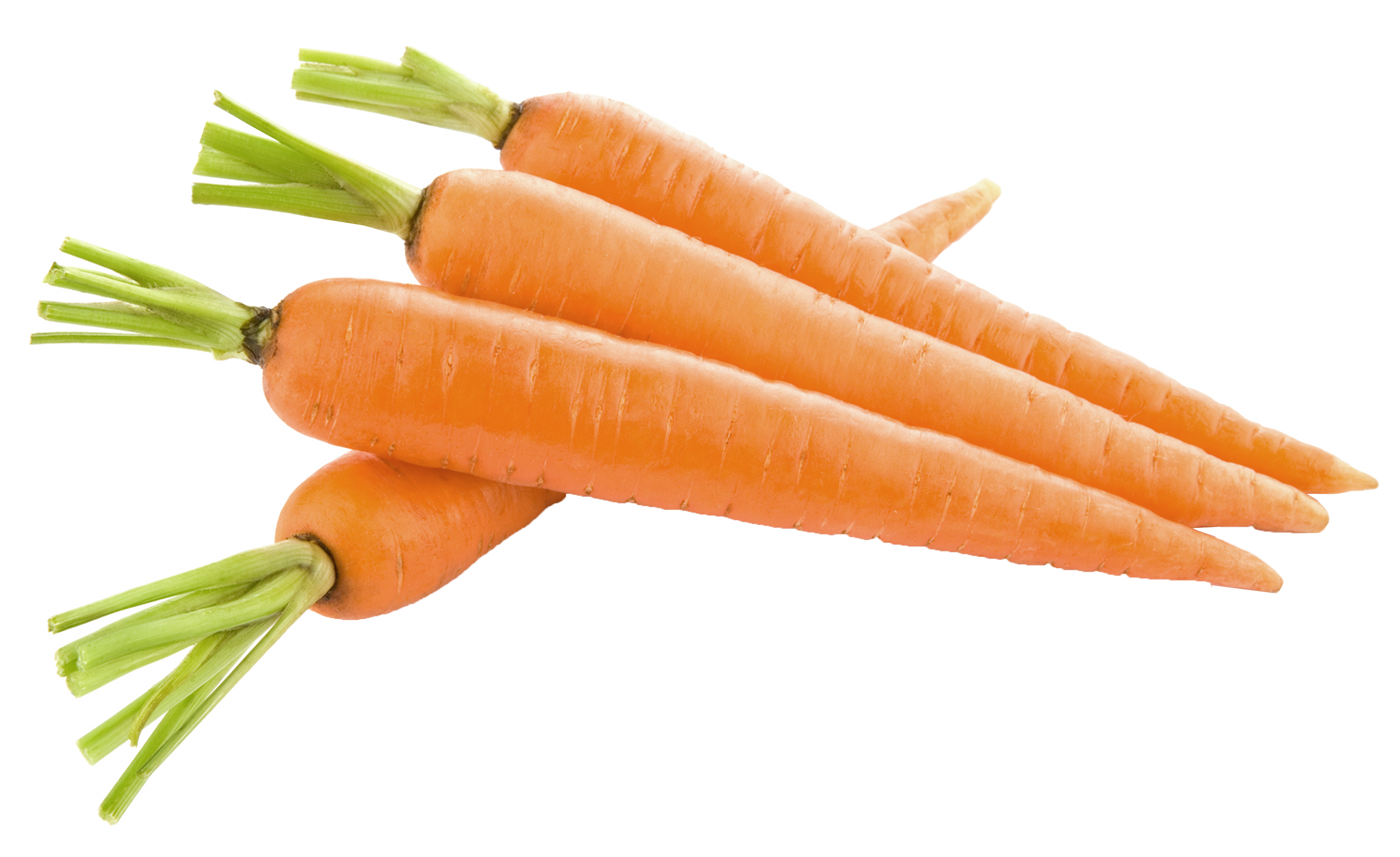 Top View Carrot PNG Image
