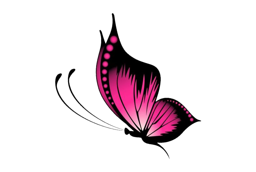 Vector Butterfly PNG Image Background