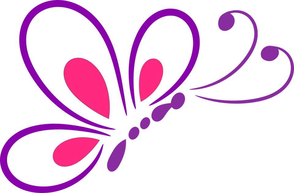 Imagen de vector de mariposa PNG