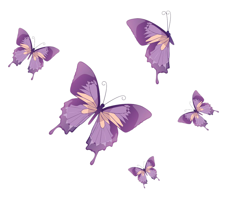 Immagine Trasparente farfalla vettoriale