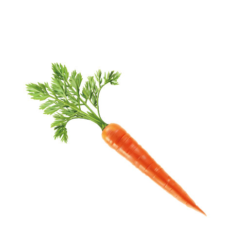 Vector Carrot Download PNG Image