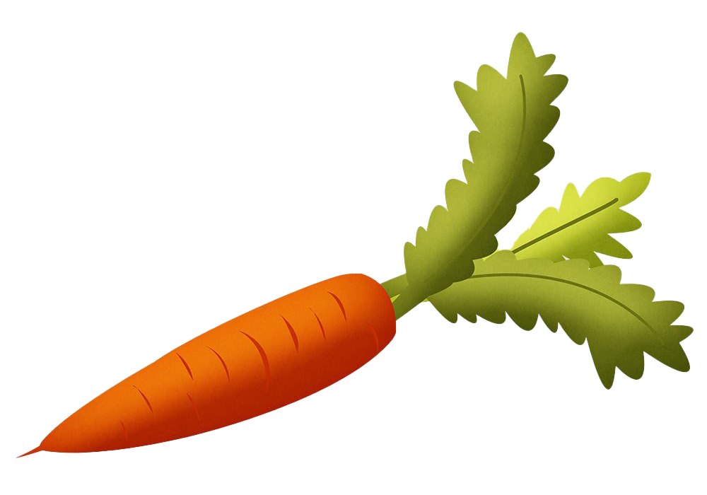 Вектор морковь скачать прозрачное изображение PNG