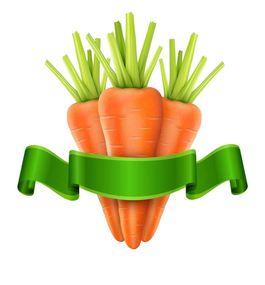 Vector Carrot PNG Image Background