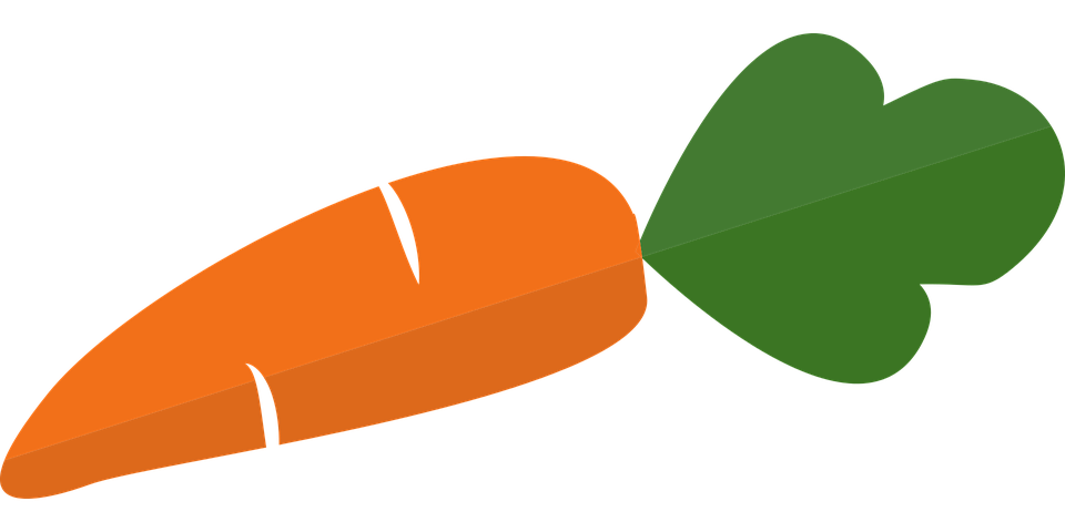 Vector Carrot PNG Pic