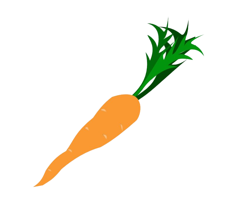 Вектор морковь прозрачный образ