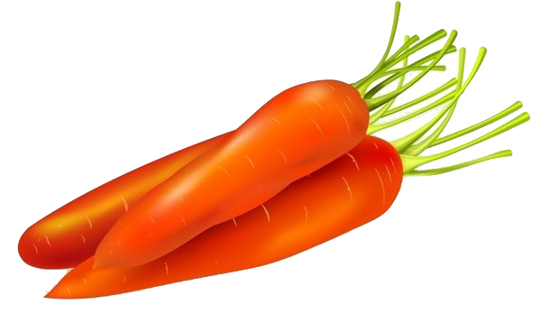 Вектор морковь прозрачных изображений