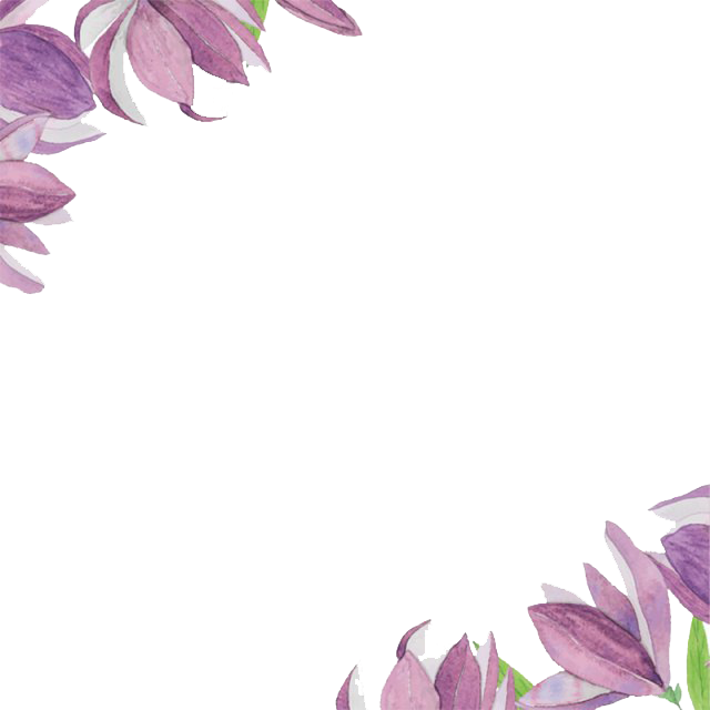 Vector Lilac PNG Transparent Image