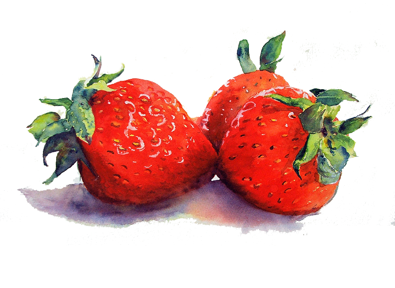 Watercolor Strawberry PNG Gambar Latar Belakang