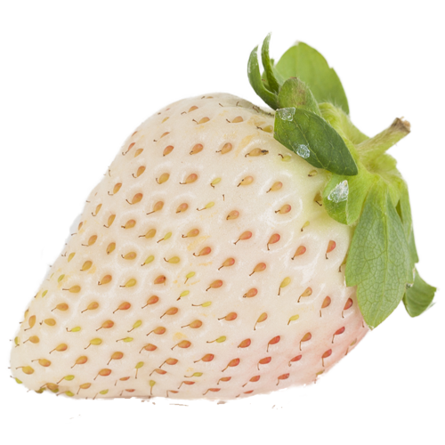 White Strawberry Free PNG Image