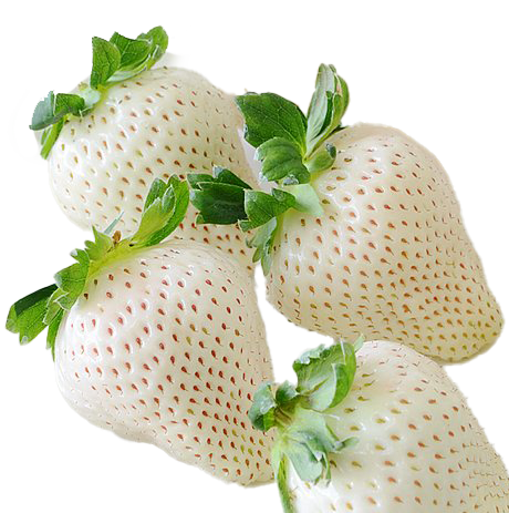 White Strawberry PNG High-Quality Image