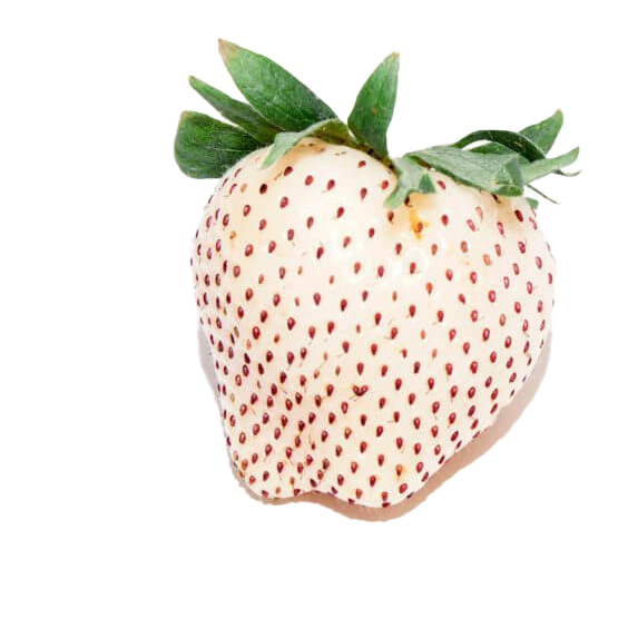 White Strawberry PNG Image Background