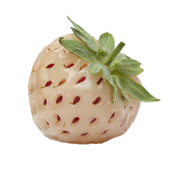 White Strawberry PNG Photo