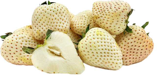 White Strawberry PNG Transparent Image