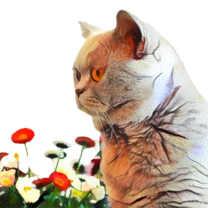 Adorable Easter Cat PNG Image