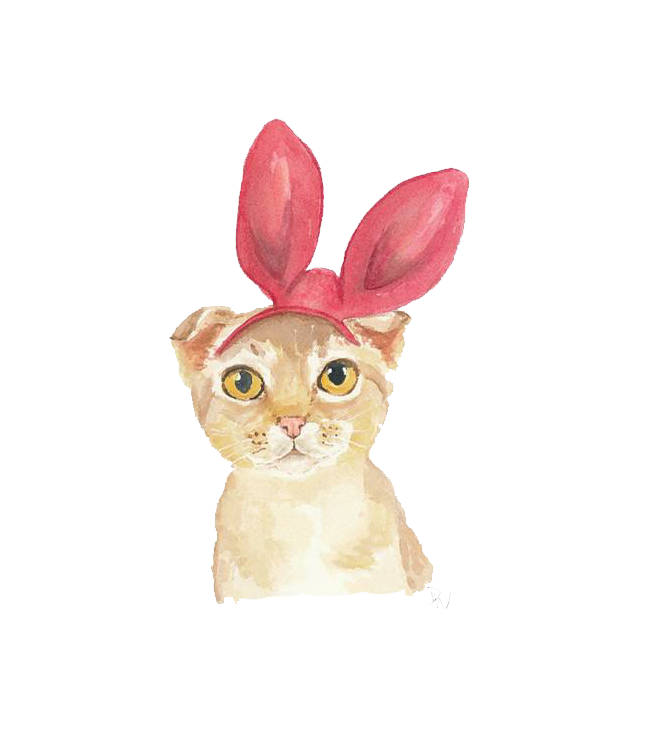 Easter Cat Free PNG Image
