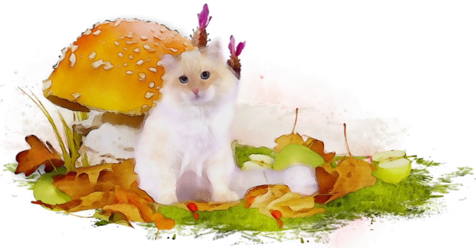 Easter Cat PNG Background Image