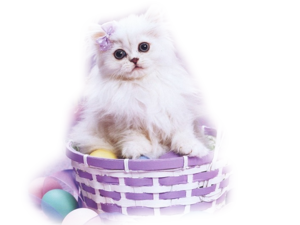 Easter Cat PNG Free Download