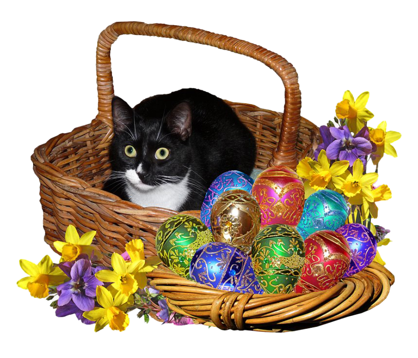 Easter Cat Transparent Image