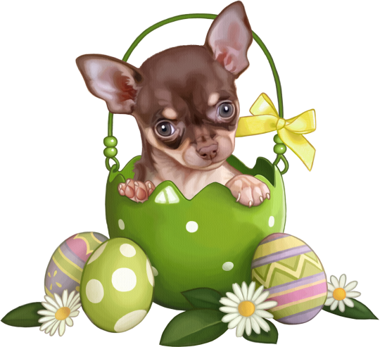 Easter Dog PNG Picture