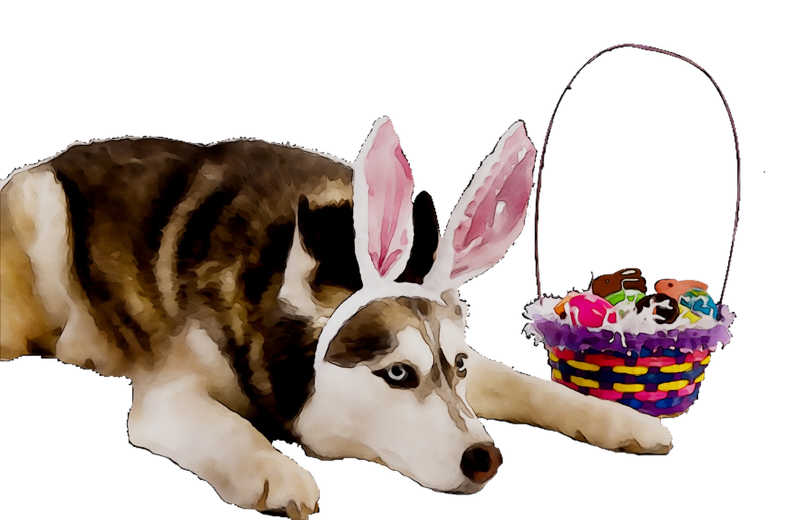 Immagini trasparenti del cane di Pasqua