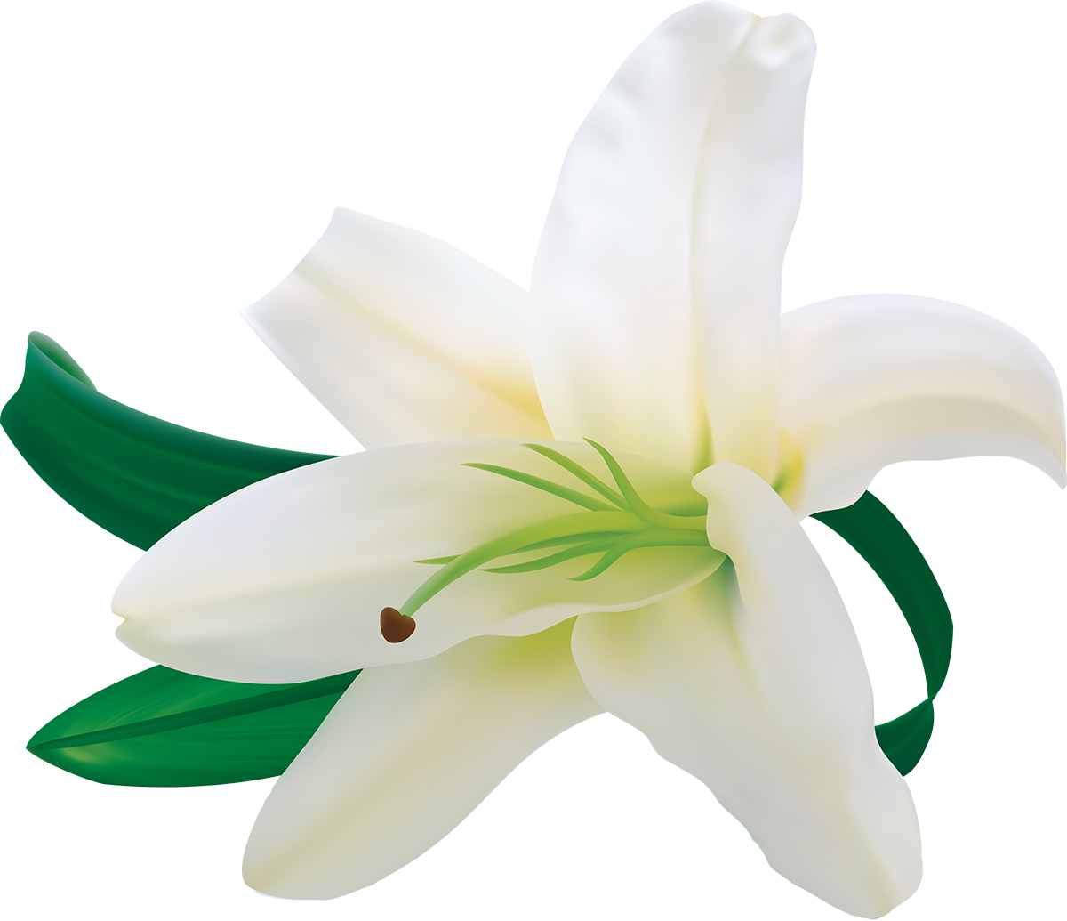 Easter Lilies Download Transparent PNG Image
