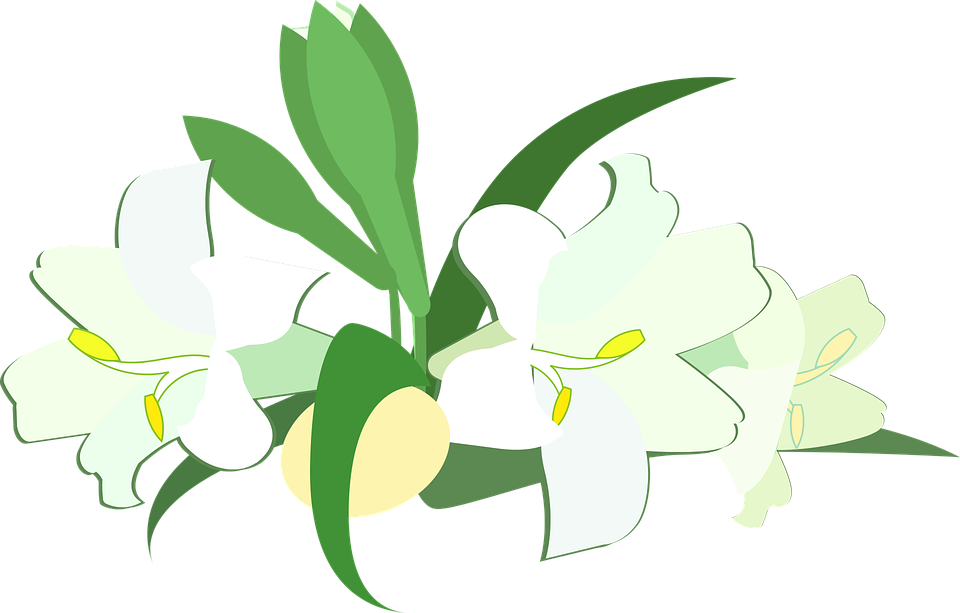Easter Lilies PNG Free Download