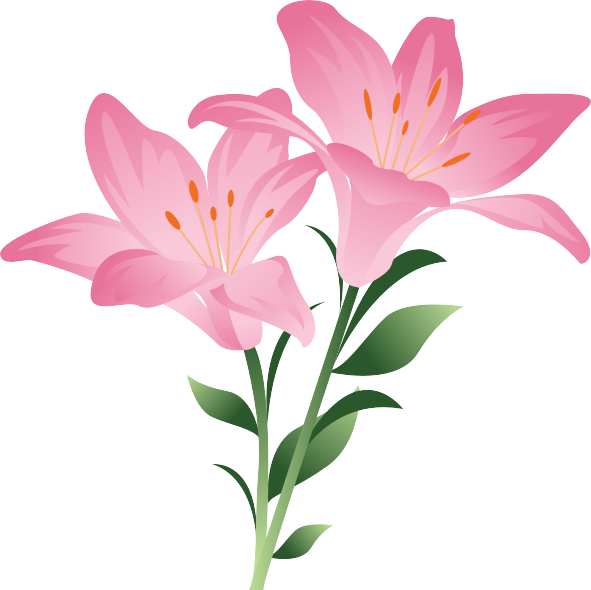Easter Lilies Transparent Background PNG