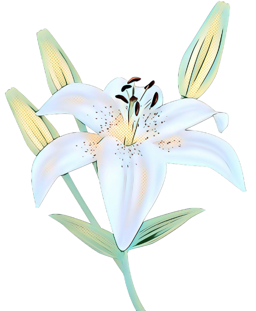 Easter White Lilies PNG Free Download