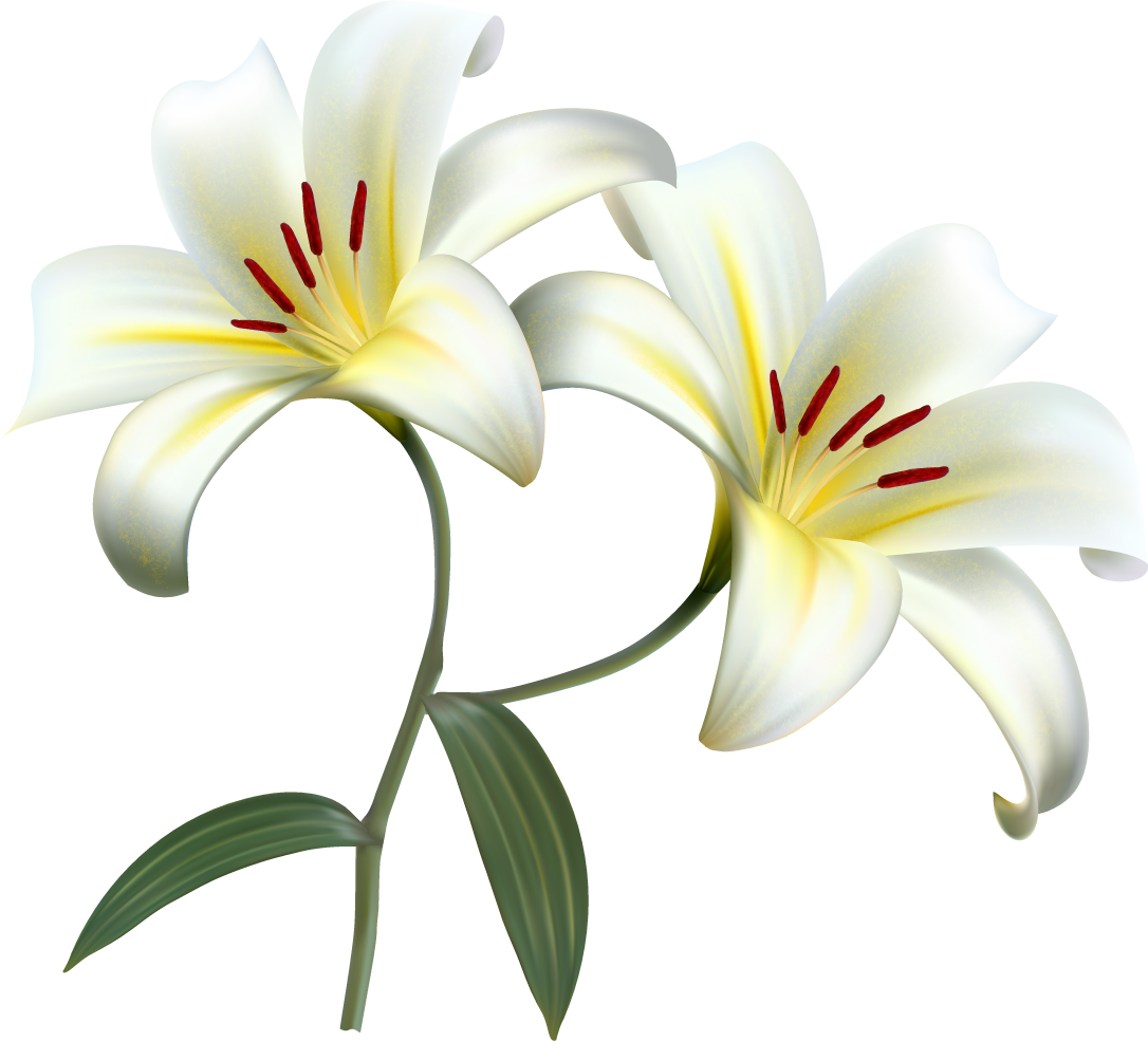Easter White Lilies Transparent Images
