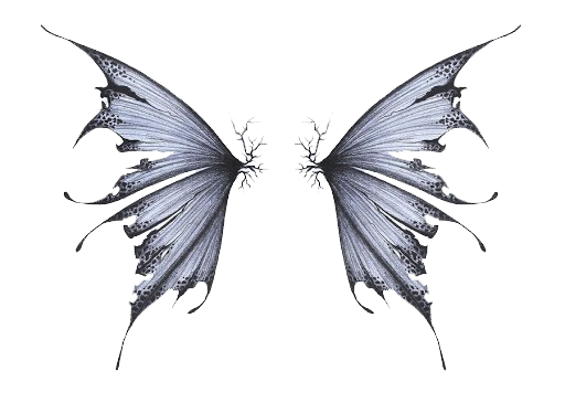 요정 날개는 투명한 PNG 이미지를 다운로드합니다