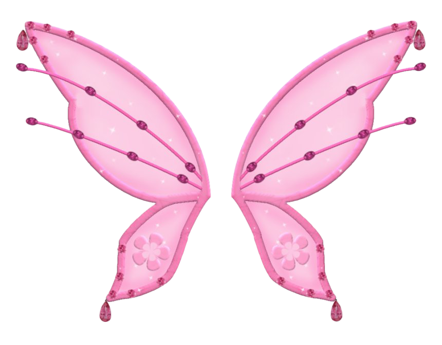 Fairy Wings Free PNG Image
