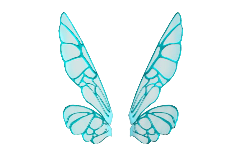 Fairy Wings PNG Hochwertiges Bild